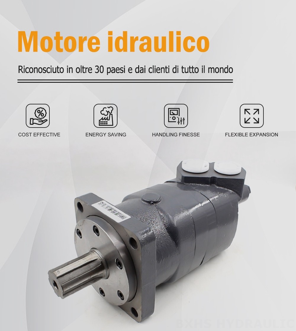 Motore Idraulico Cicloide BM6 195 cc/r 150 L/min Motore idraulico